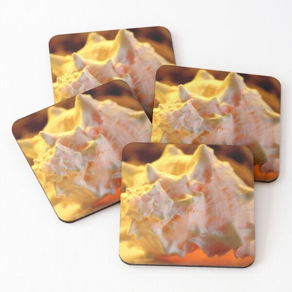 Item preview, seashell... designed and sold by Tereza Pilar  Art.