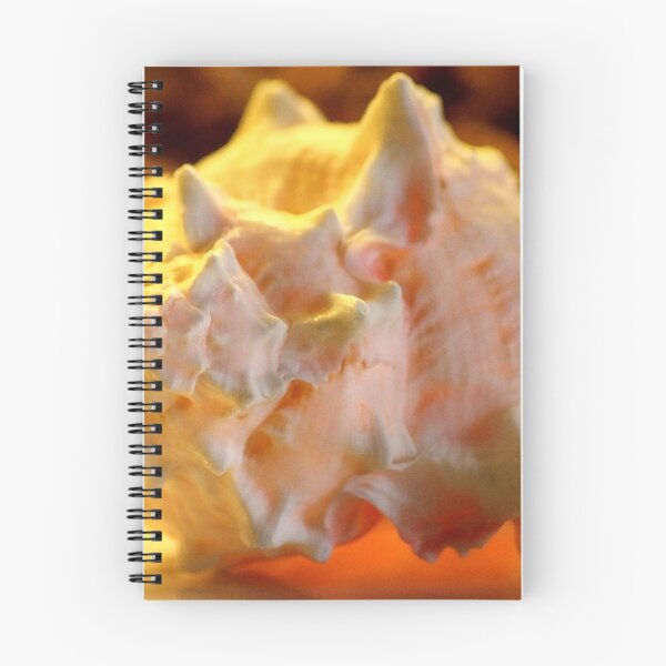 Item preview, seashell... designed and sold by Tereza Pilar  Art.