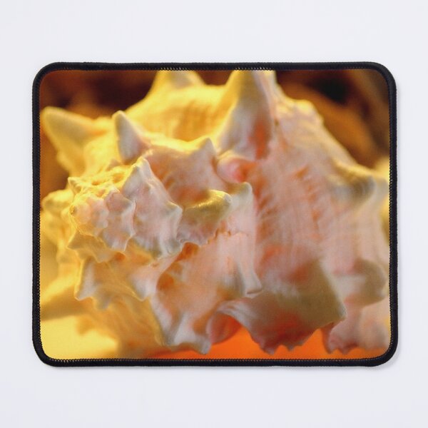 Item preview, seashell... designed and sold by Tereza Pilar  Art.