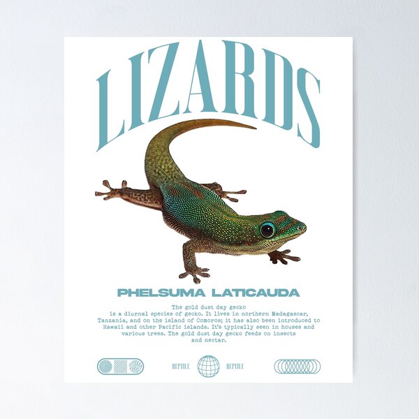 Item preview, Phelsuma laticauda Day Gecko Streetwear Lizard Keeper designed and sold by JRRTs.
