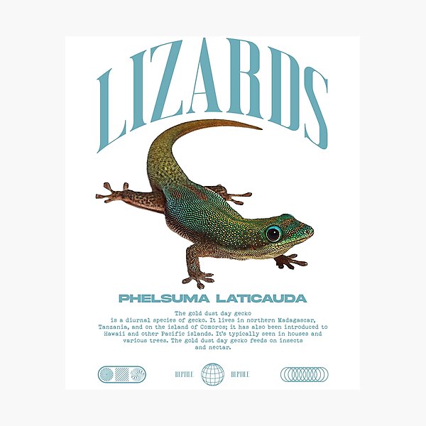 Item preview, Phelsuma laticauda Day Gecko Streetwear Lizard Keeper designed and sold by JRRTs.