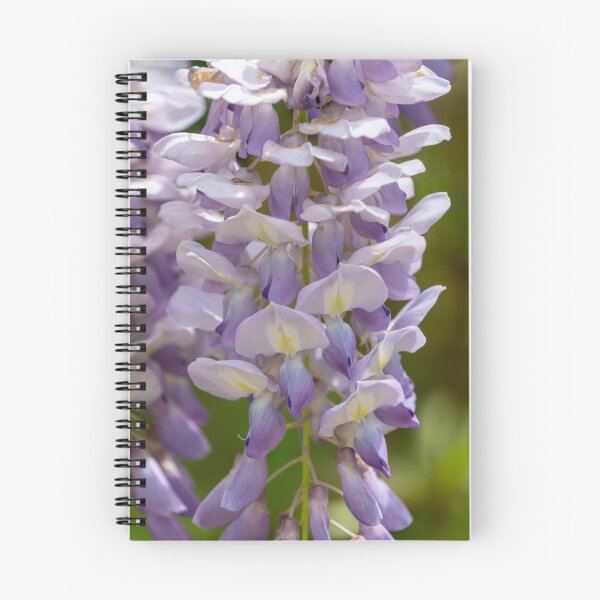 Item preview, Purple Wisteria Flowers designed and sold by TinyDinoDesigns.