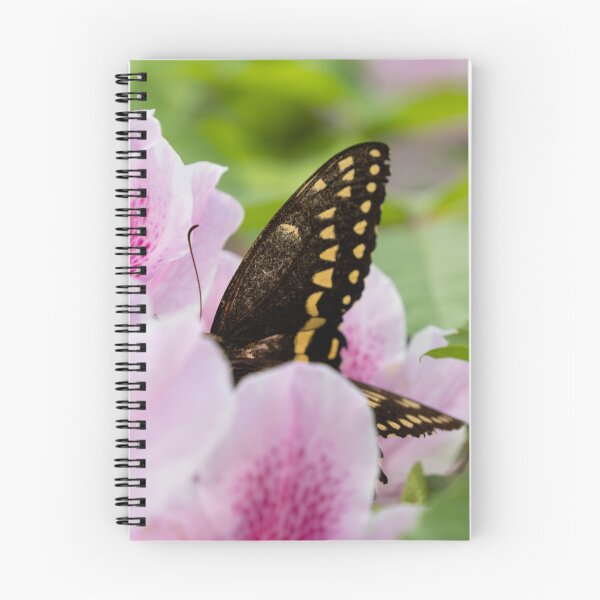 Item preview, Butterfly in a Flower designed and sold by TinyDinoDesigns.