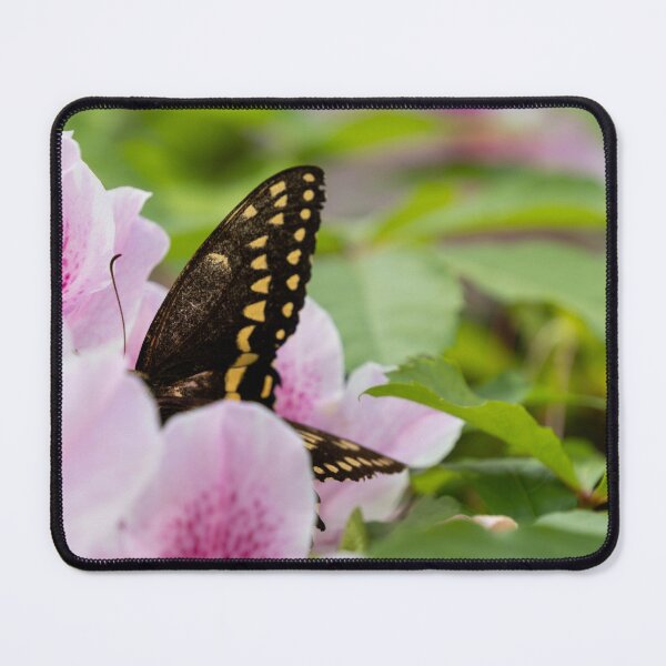 Item preview, Butterfly in a Flower designed and sold by TinyDinoDesigns.