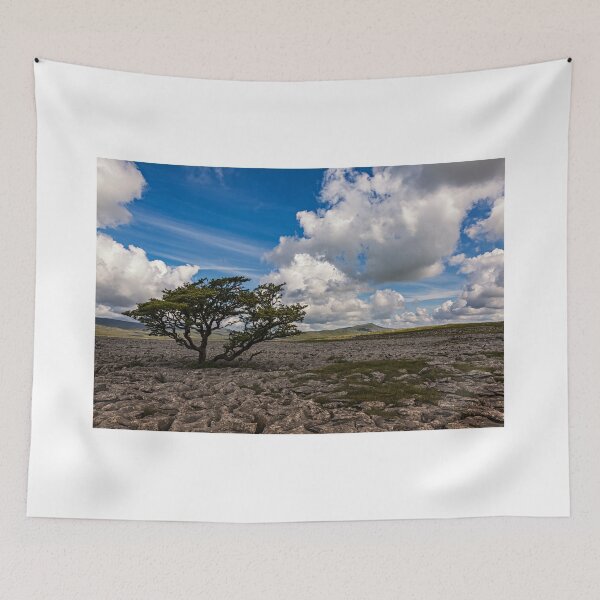 Item preview, Lone Tree At Ingleton designed and sold by Reg-K-Atkinson.