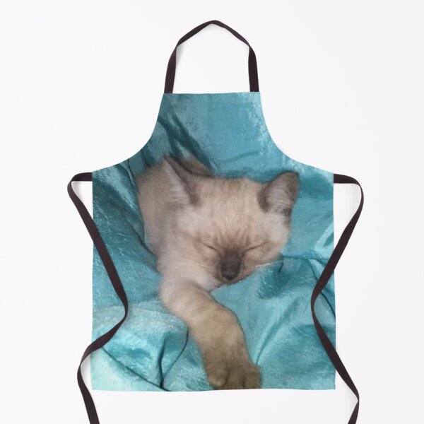 Item preview, Sleeping Kitty designed and sold by Stardragon135.
