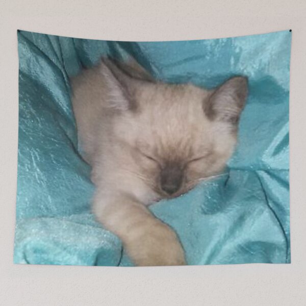 Aperçu de l'œuvre Sleeping Kitty créée et vendue par Stardragon135.
