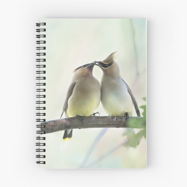 Item preview, Cedar Waxwings feeding each other designed and sold by Shauna Kenworthy.