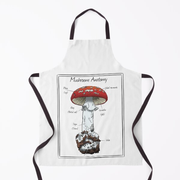 Item preview, Mushroom Anatomy: Parts of a Mushroom  designed and sold by Cherie Brunetti.