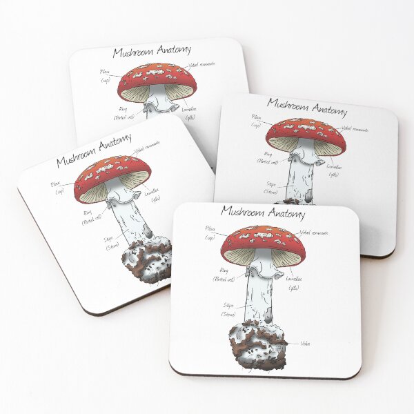 Item preview, Mushroom Anatomy: Parts of a Mushroom  designed and sold by Cherie Brunetti.