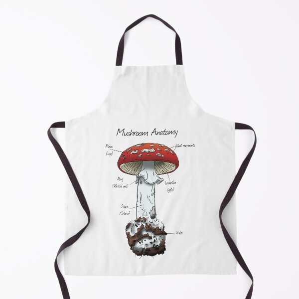 Item preview, Mushroom Anatomy: Parts of a Mushroom  designed and sold by Cherie Brunetti.