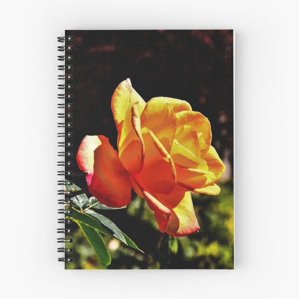 Item preview, The Rose designed and sold by stephenB.