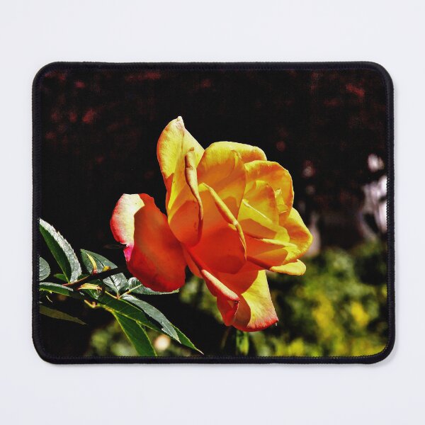 Item preview, The Rose designed and sold by stephenB.