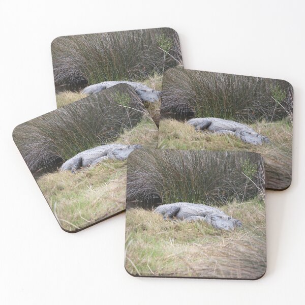 Item preview, Large Reptile In Natural Habitat designed and sold by Cynthia48.