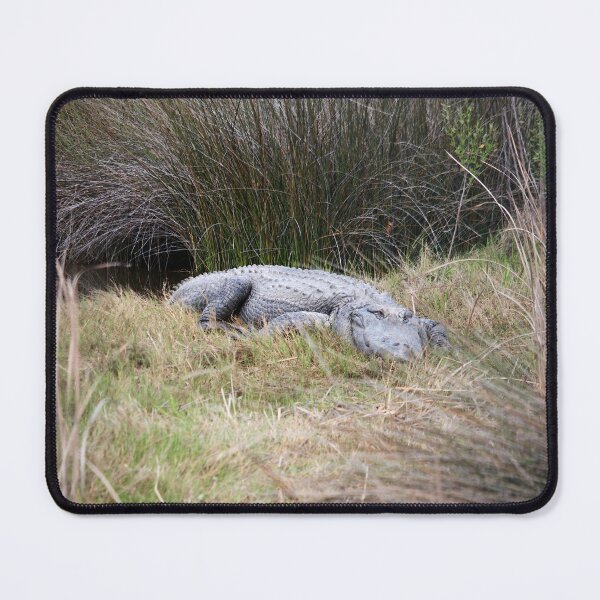 Item preview, Large Reptile In Natural Habitat designed and sold by Cynthia48.