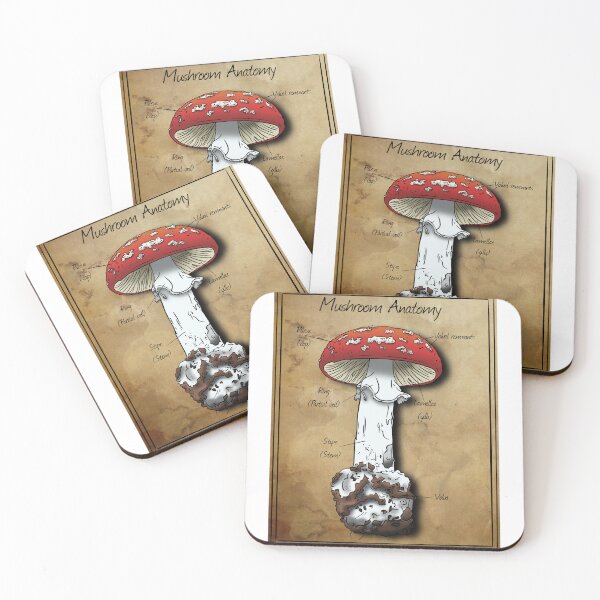Item preview, Mushroom Anatomy: Parts of a Mushroom  designed and sold by Cherie Brunetti.
