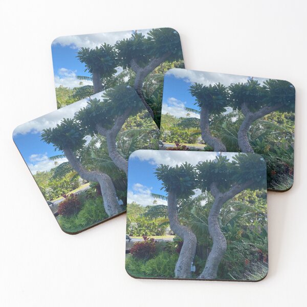 Item preview, Interesting tree in Maui designed and sold by OutOfTordinary.