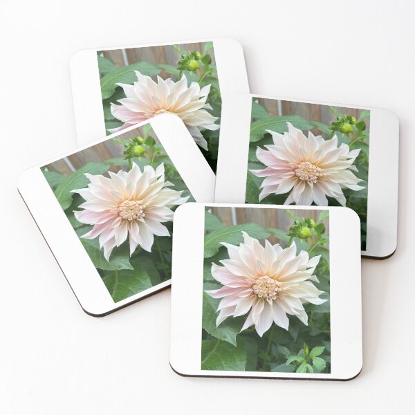 Item preview, Café au Lait designed and sold by CedarBrookAcres.