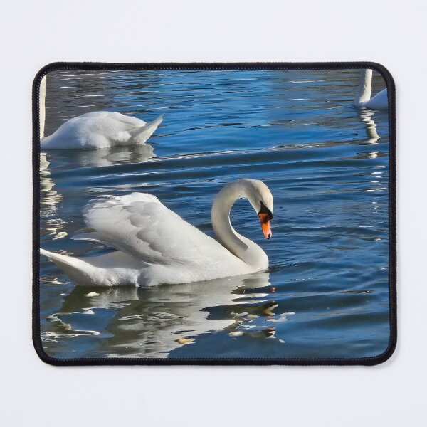 Item preview, White Mute Swans designed and sold by Light79.
