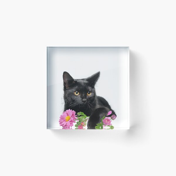 Item preview, Cat Birth month flower - NOV chrysanthemum designed and sold by godleo.