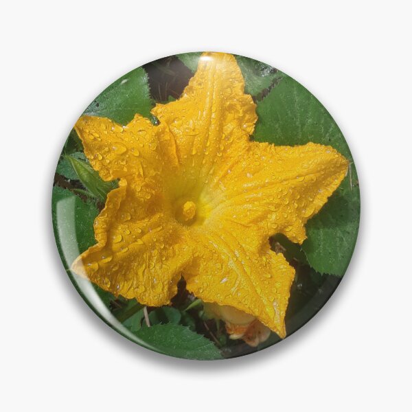 Item preview, A Rain Soaked Squash Blossom designed and sold by MtnAshMan.