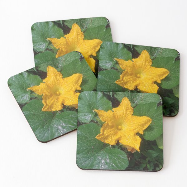 Item preview, A Rain Soaked Squash Blossom designed and sold by MtnAshMan.