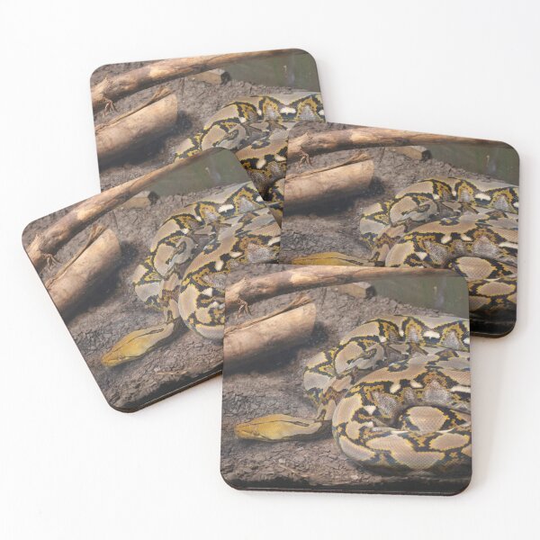 Item preview, Snake Coiled Up designed and sold by Cynthia48.