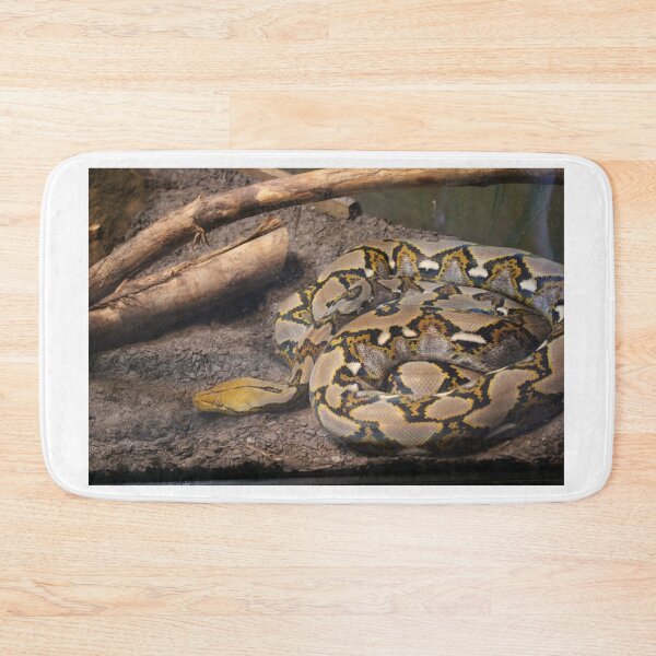 Item preview, Snake Coiled Up designed and sold by Cynthia48.