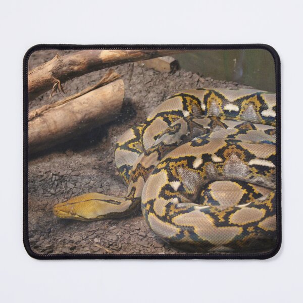 Item preview, Snake Coiled Up designed and sold by Cynthia48.