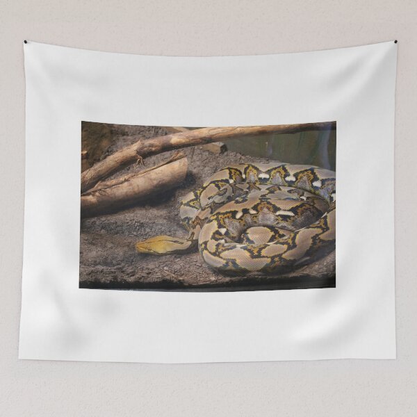 Item preview, Snake Coiled Up designed and sold by Cynthia48.
