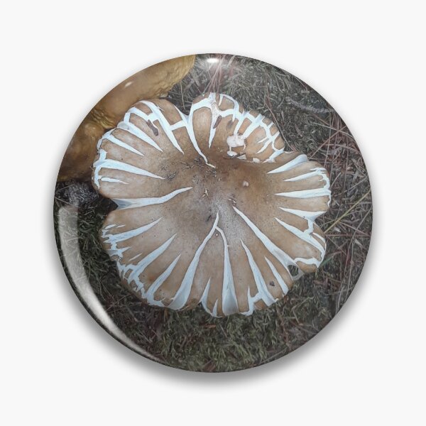 Item preview, A Mushroom Cap Splitting Profusely designed and sold by MtnAshMan.