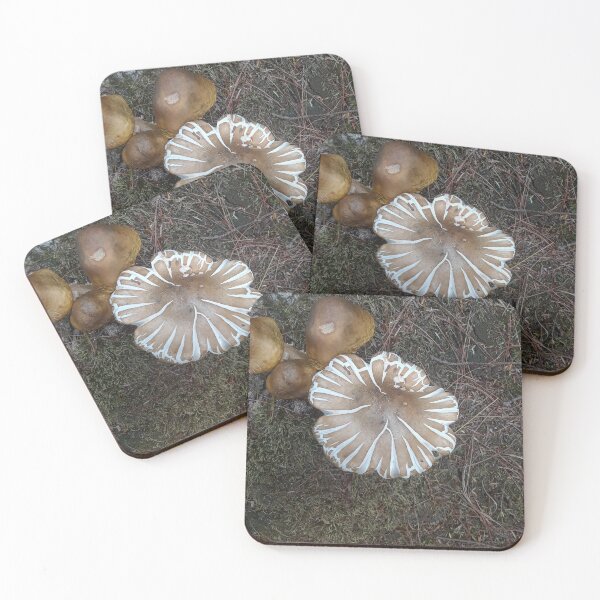 Item preview, A Mushroom Cap Splitting Profusely designed and sold by MtnAshMan.