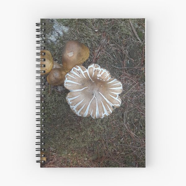 Item preview, A Mushroom Cap Splitting Profusely designed and sold by MtnAshMan.