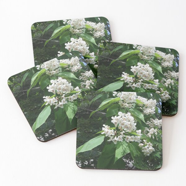 Item preview, A Fragrant Eruption of Catalpa Flowers designed and sold by MtnAshMan.