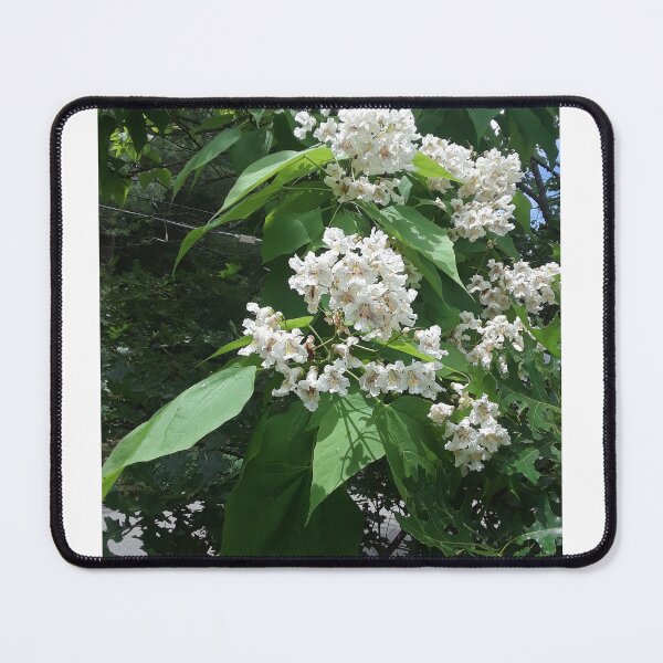 Item preview, A Fragrant Eruption of Catalpa Flowers designed and sold by MtnAshMan.