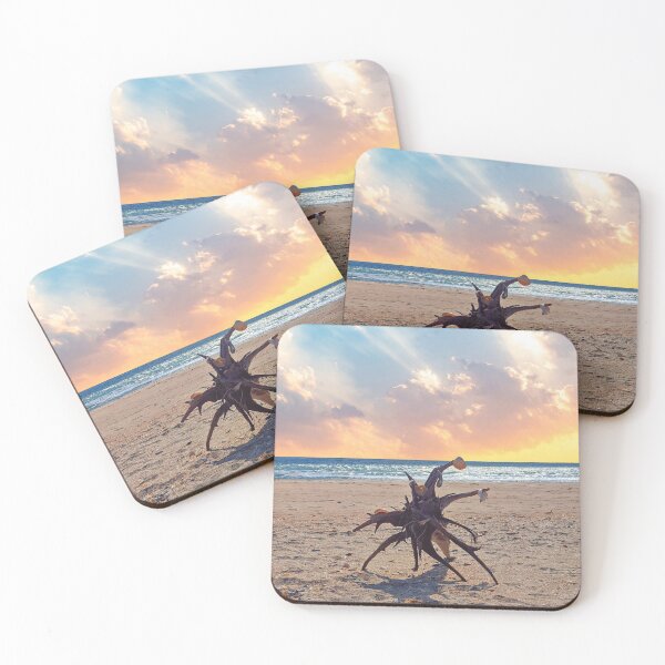 Item preview, Shells on driftwood at sunset designed and sold by jennyhardee.