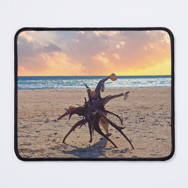 Item preview, Shells on driftwood at sunset designed and sold by jennyhardee.