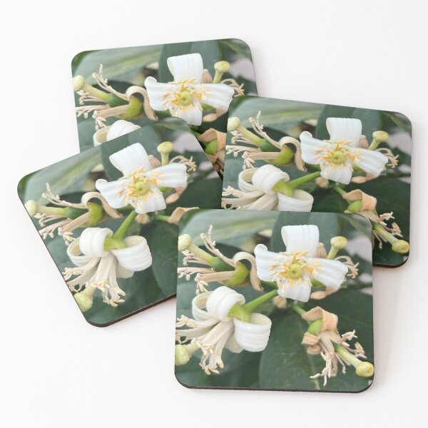 Item preview, Lemon flower designed and sold by CedarBrookAcres.
