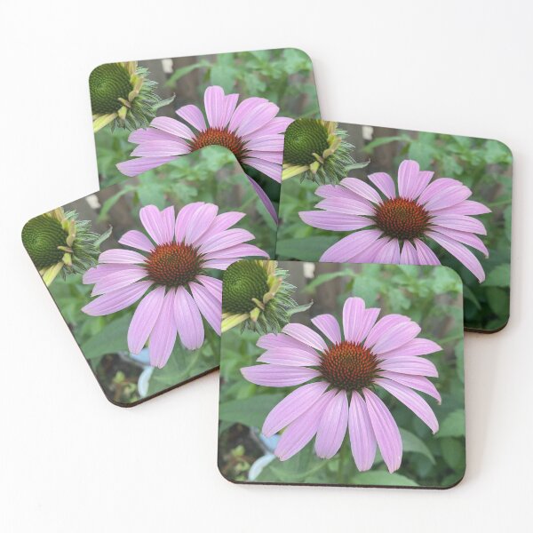 Item preview, Echinacea designed and sold by CedarBrookAcres.