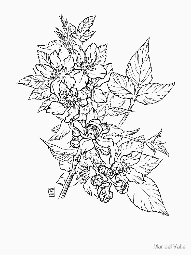 Blackberry - Black Line by mardelvallearts