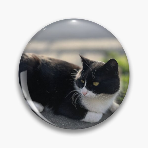 Item preview, Cat designed and sold by Chupcha.