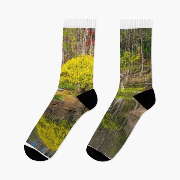 Item preview, Pond Reflection designed and sold by Alla Gill.