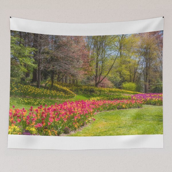 Item preview, Red Tulips designed and sold by Alla Gill.