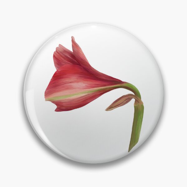 Item preview, Red amaryllis flower Hand drawn watercolor clipart designed and sold by BartolArt.