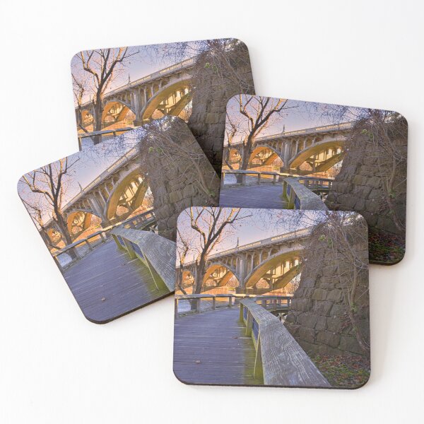 Item preview, Gervais Street Bridge Walkway In Winter designed and sold by LisaWootenPhoto.