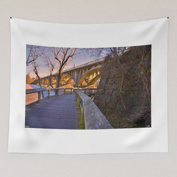 Item preview, Gervais Street Bridge Walkway In Winter designed and sold by LisaWootenPhoto.