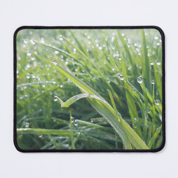 Item preview, Curly grass designed and sold by Emma  Amies.