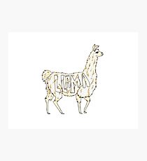 L is for llama Photographic Print