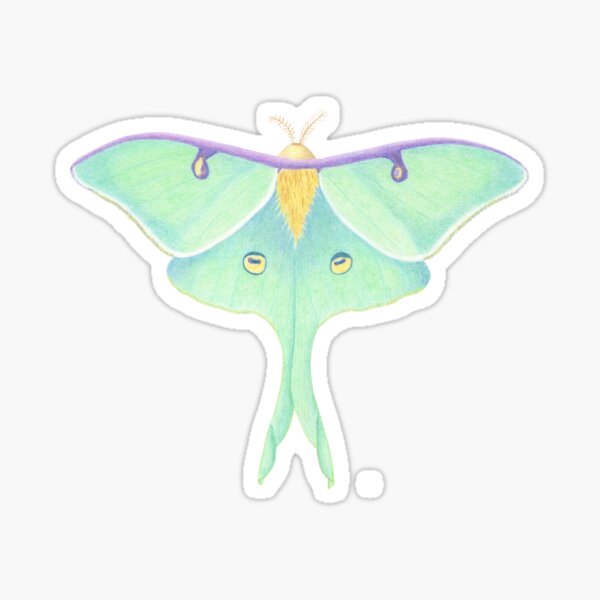 Item preview, Luna Moth designed and sold by Ann Brantingham -- Nature Art.