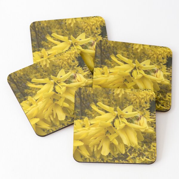 Item preview, Forsythia Blooms in the Spring designed and sold by CJRPics.
